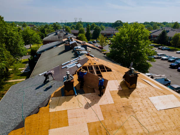 Best Storm Damage Roof Repair  in Shawneeland, VA