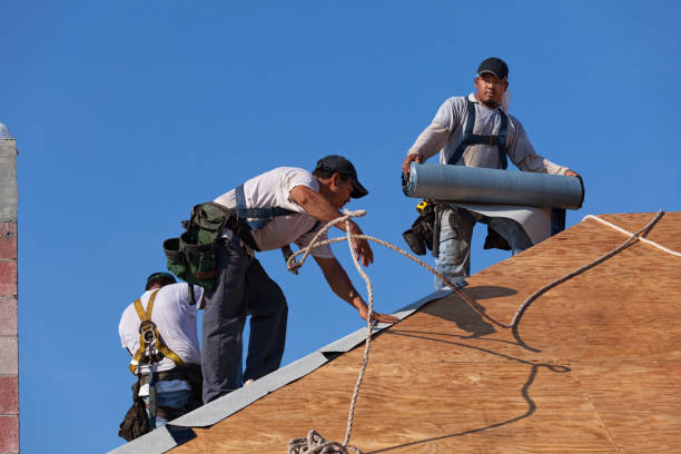 Best Roof Leak Repair  in Shawneeland, VA