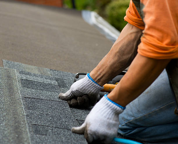 Best Roof Waterproofing Services  in Shawneeland, VA