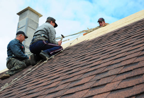 Best New Roof Installation  in Shawneeland, VA
