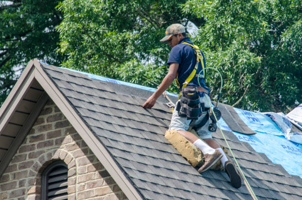 Best Roof Repair Services  in Shawneeland, VA